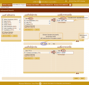 Building a powerful Advanced Search with truncated words, subjects, cultures and Boolean operators AND and OR