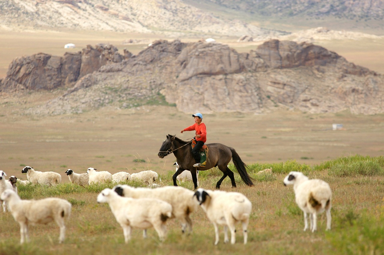 Ecological Function Of A Behavioral Institution In A Pastoral Or 