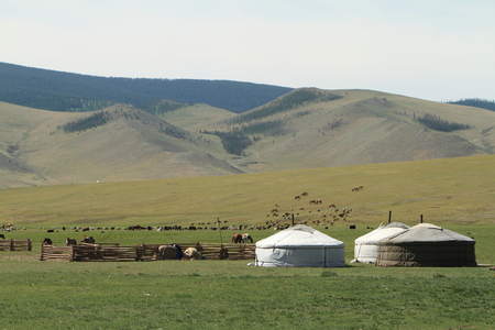 Yurt settlement in Mongolia Yurt settlement in Mongolia
