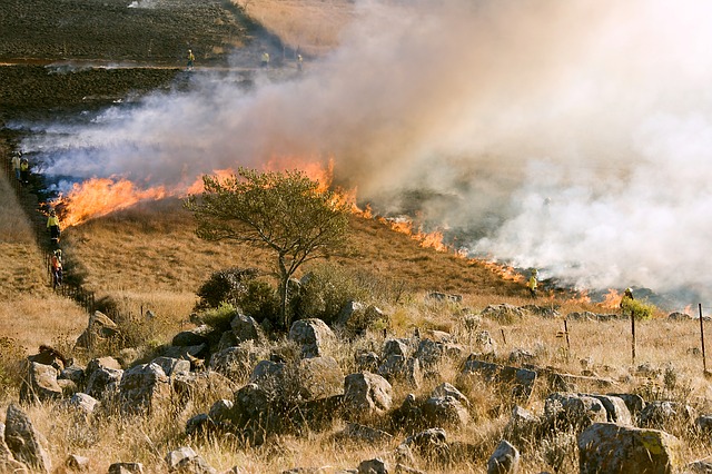 smoke signal photo