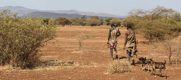 Hadazbe men returning from the hunt, Tanzania. Photo credit: Flickr/Andreas Lederer.