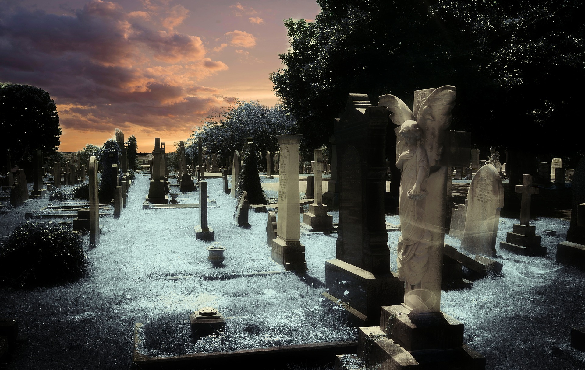 graveyard-381095_1920