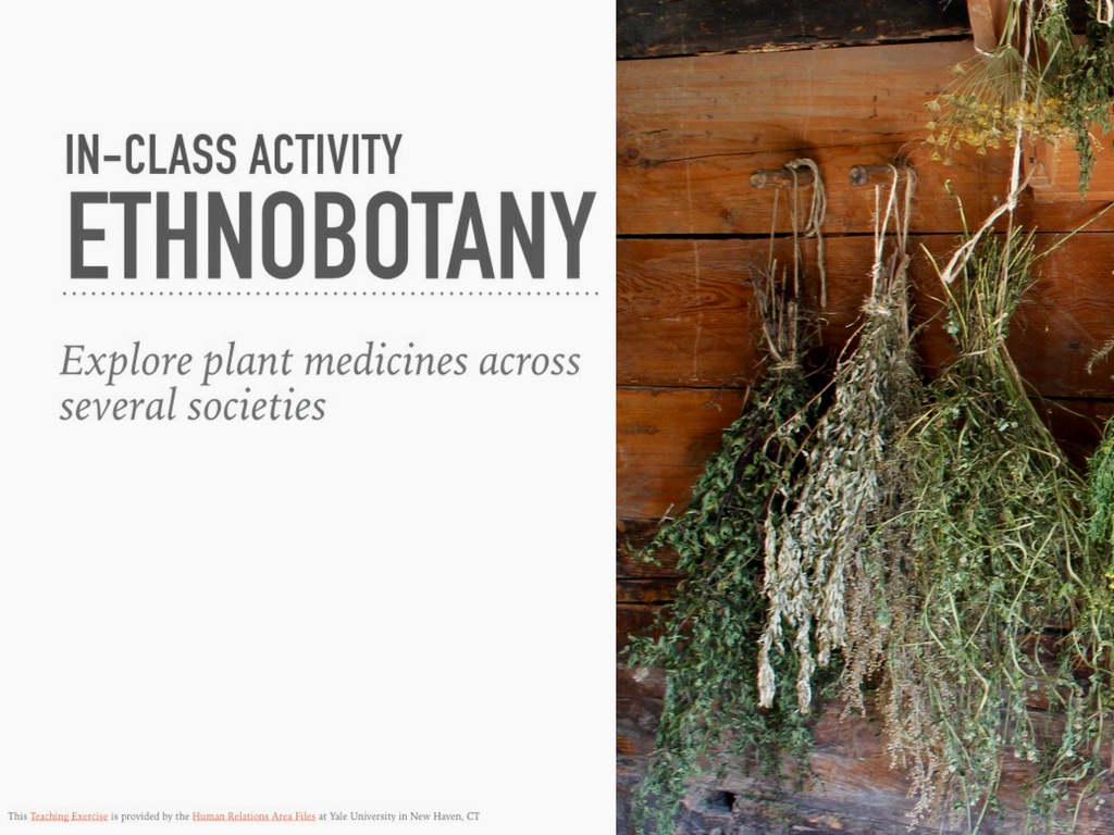Ethnobotany In-Class Activity