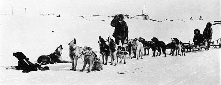 team of dogs on sled with three people returning from hunt