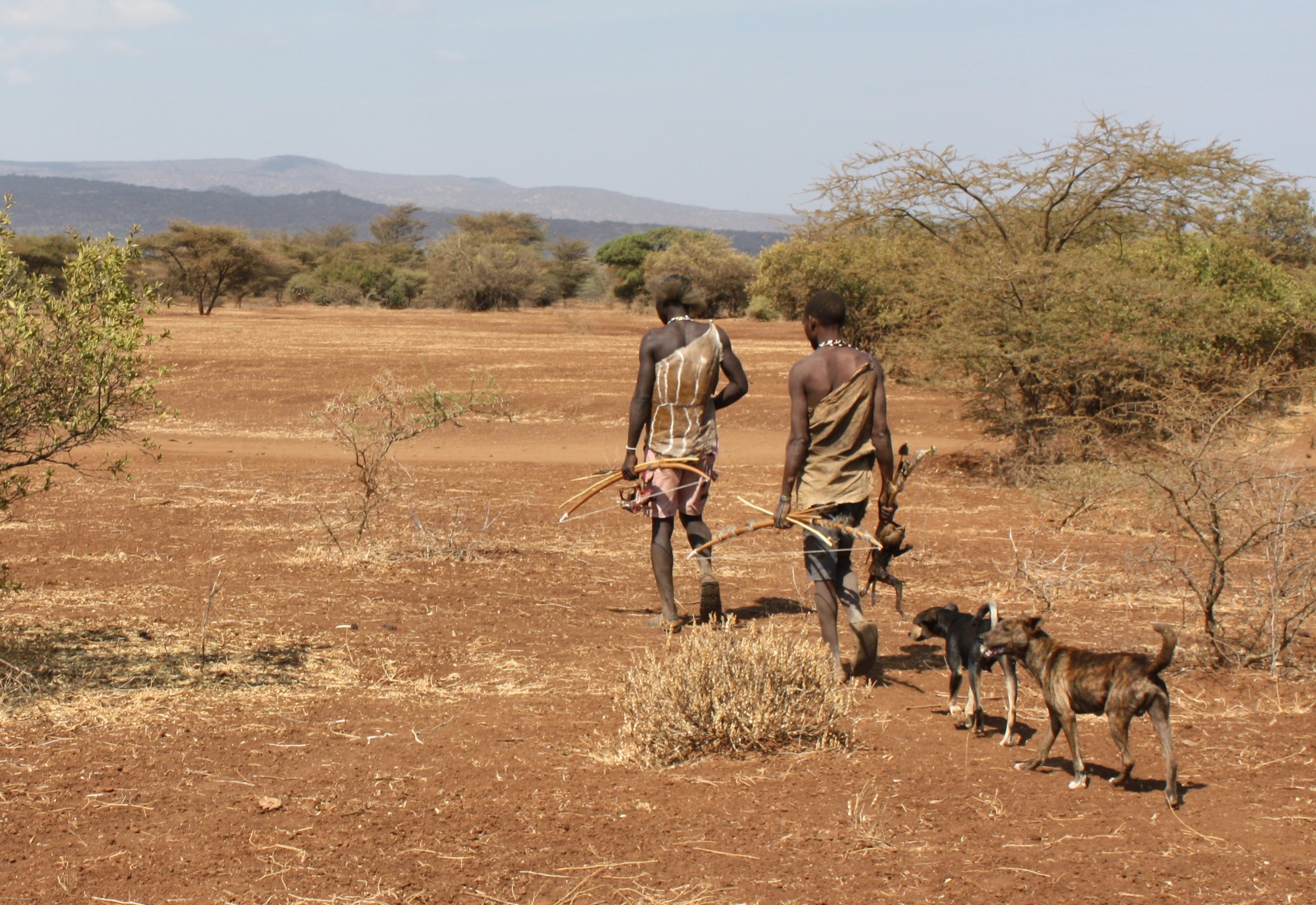 Dogs and the Hands That Feed: The Utility of Dogs in Hunter-Gatherer Societies