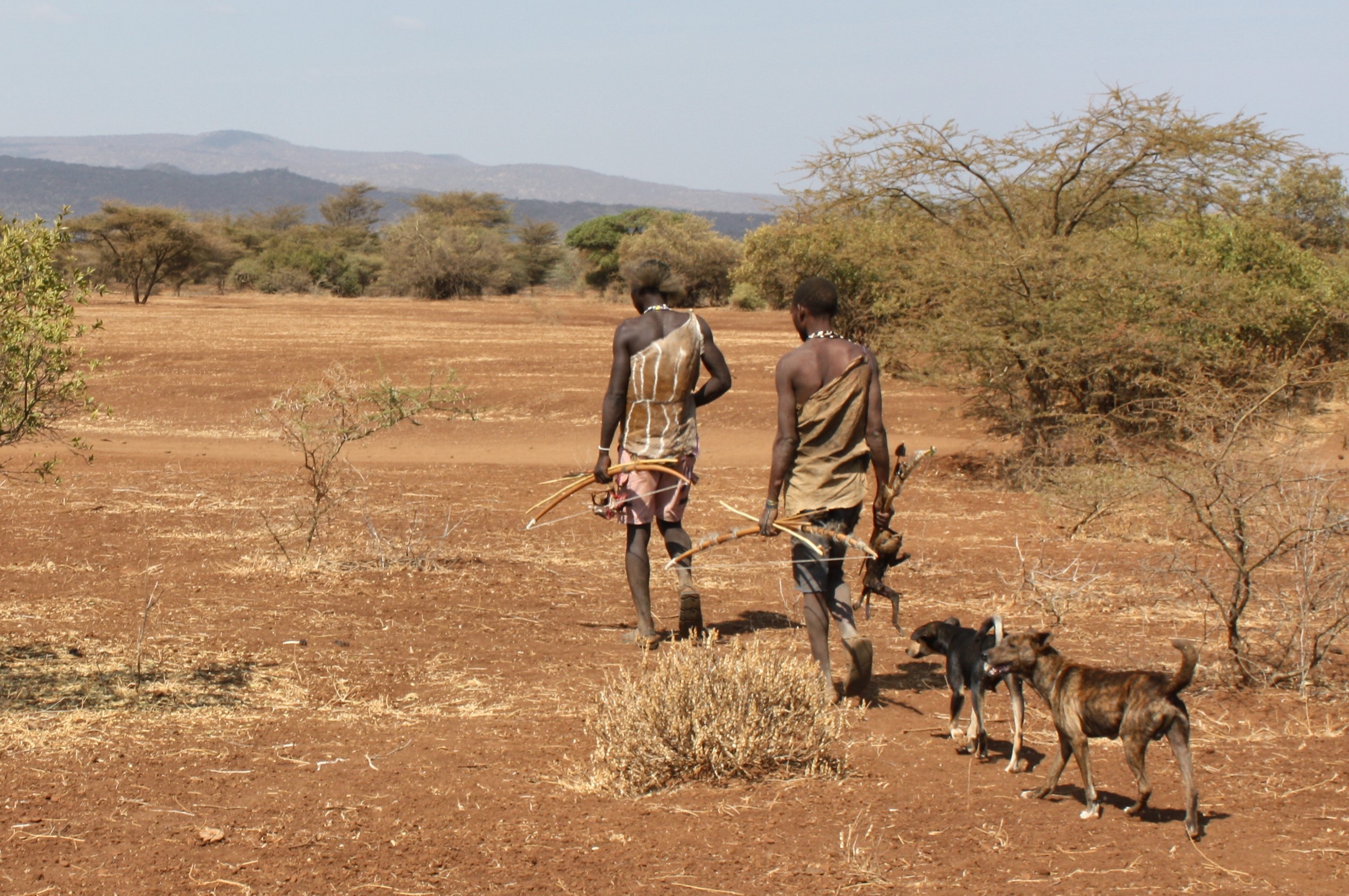 Two men and two dogs walk away from the camera. One man carries the day's catch.