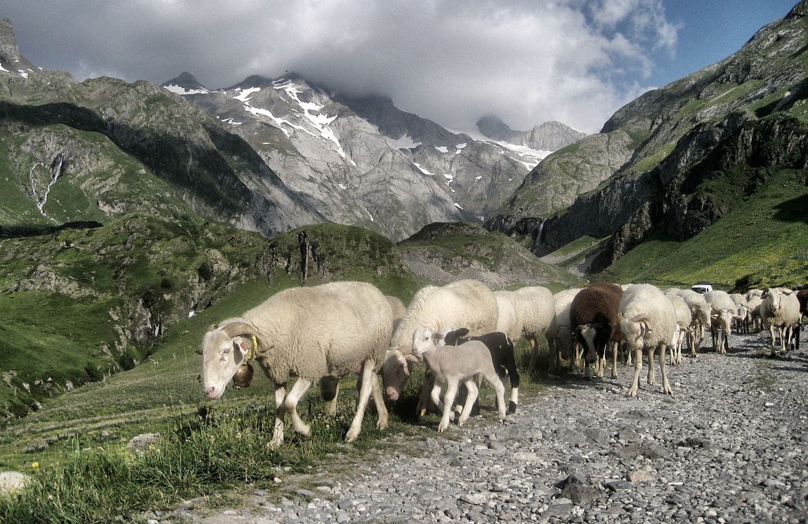 Basque mountains