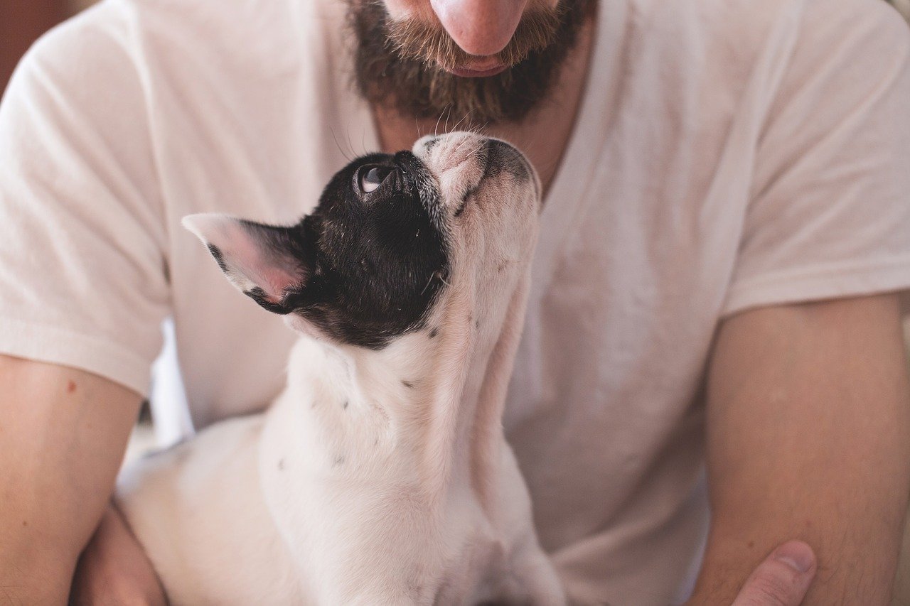 Unconditional Love: Is devotion to pets a cultural universal? | Human  Relations Area Files