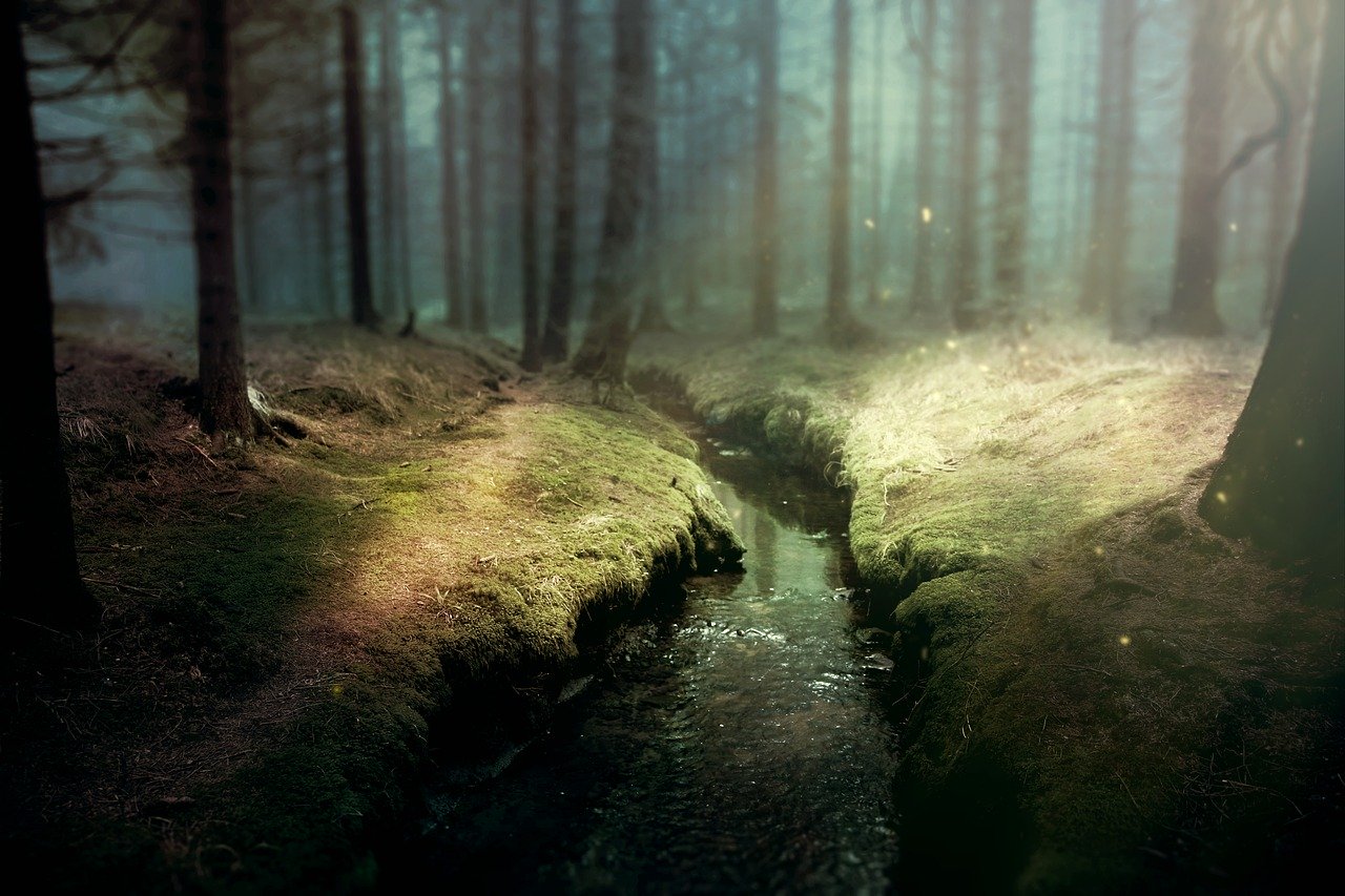 mystical stream in forest