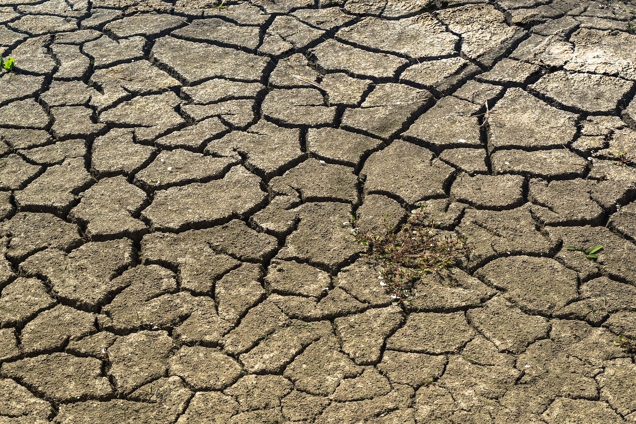 parched ground