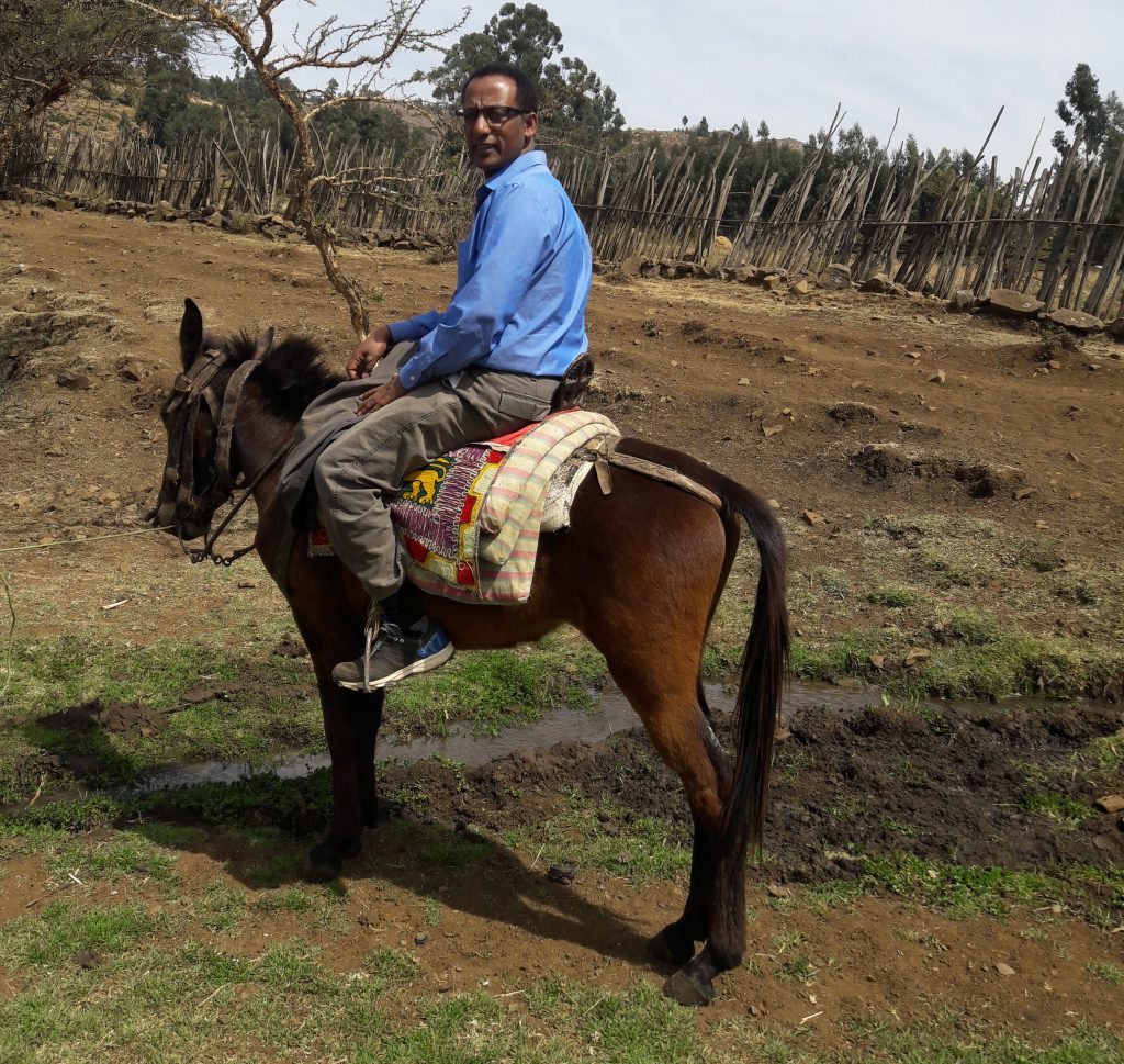 Teferi on Horseback