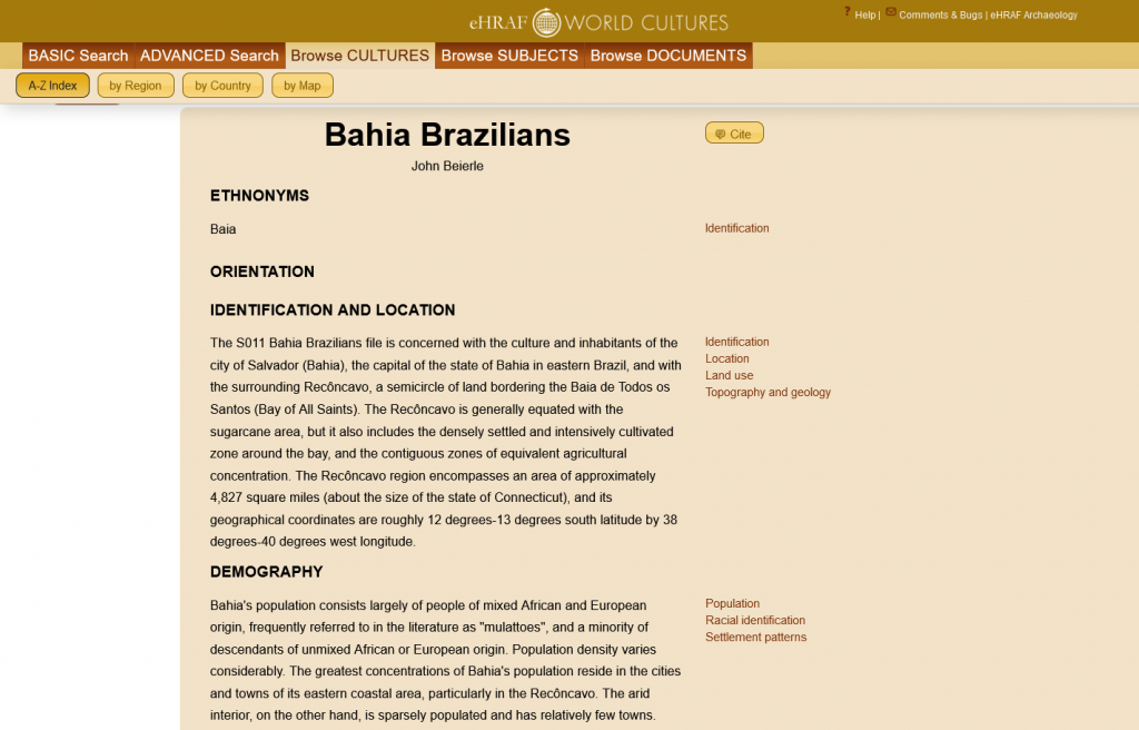 Culture Summary for Bahia Brazilians by John Beierle