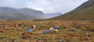 Featuring eHRAF research in Hunter-Gatherer Archaeology at University College Dublin