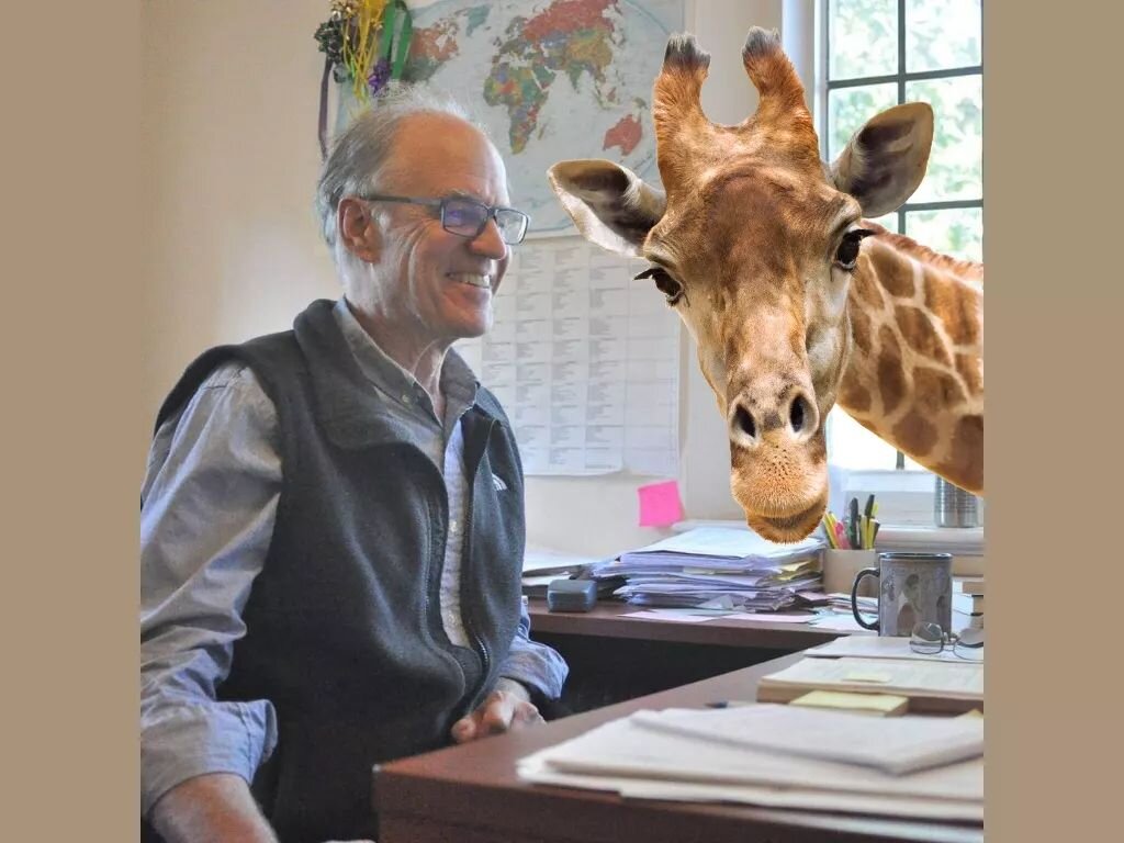 gHRAF for April Fools - HRAF analyst with giraffe